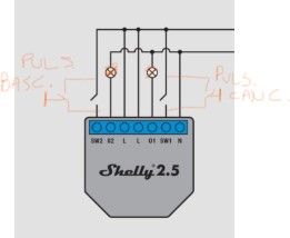 Shelly 2.5.jpg